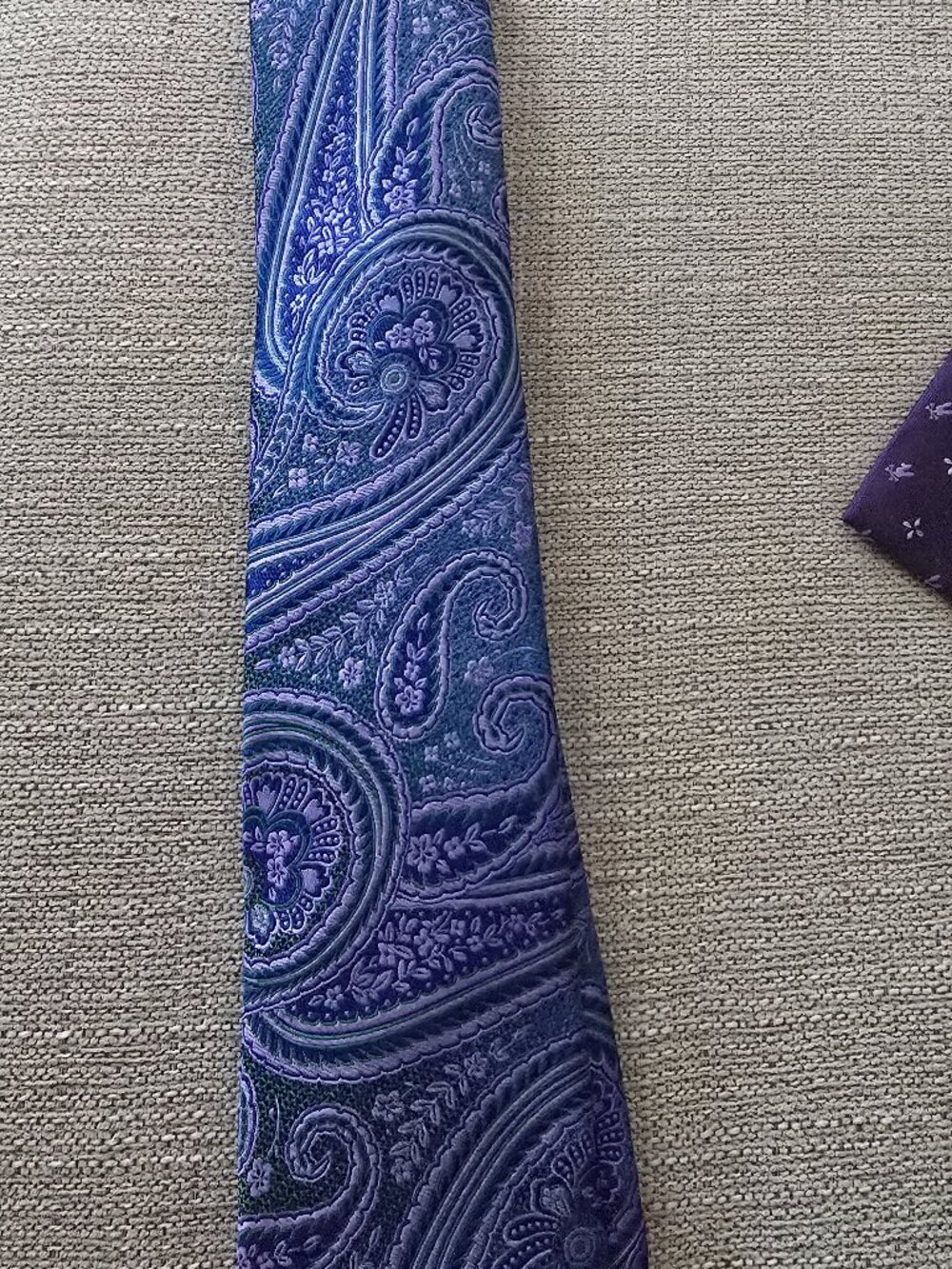 Ted Baker London Blue Paisley Woven Italian 100% Silk Men's Necktie NWT